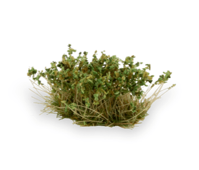 Gamers Grass - Shrubs