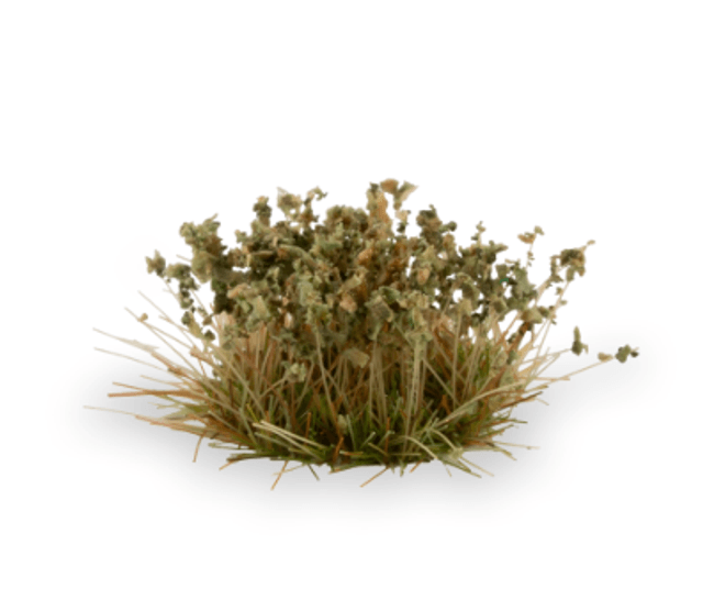 Gamers Grass - Shrubs