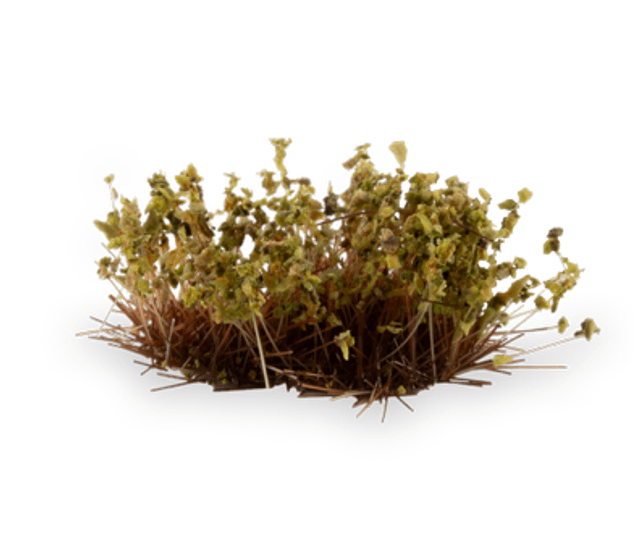Gamers Grass - Shrubs