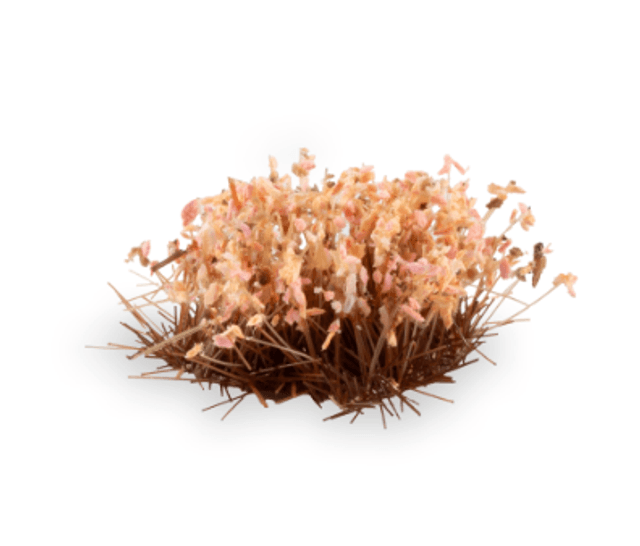 Gamers Grass - Shrubs