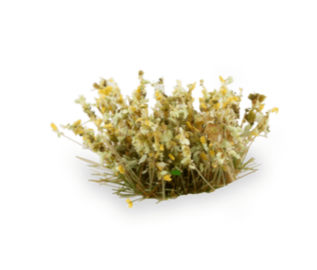 Gamers Grass - Shrubs